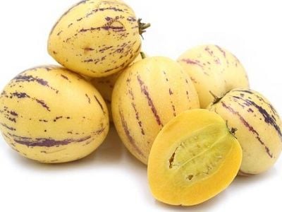 Pepino Fidanı Nasıl Dikilir?