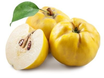 Ayva Fidanı Nasıl Dikilir?