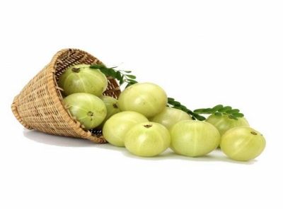 Bektaşi Üzümü Fidanı Nasıl Dikilir?