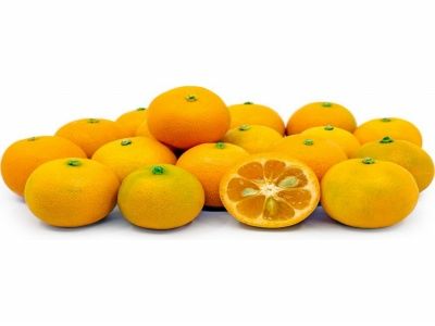 Calamondin Fidanı Nasıl Dikilir?