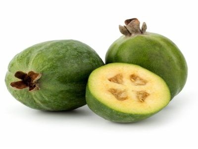 Feijoa Fidanı Nasıl Dikilir?