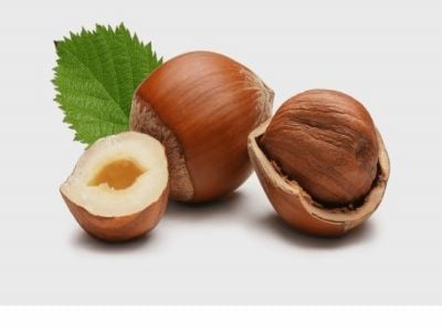 Fındık Fidanı Nasıl Dikilir?