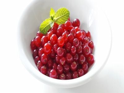 Frenk Üzümü Fidanı Nasıl Dikilir?