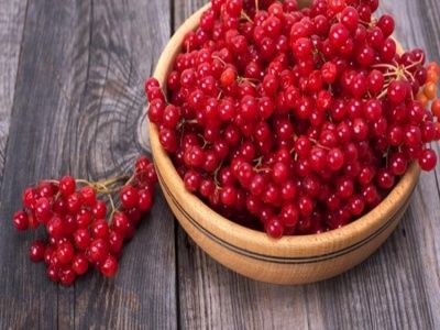 Girebolu Fidanı Nasıl Dikilir?