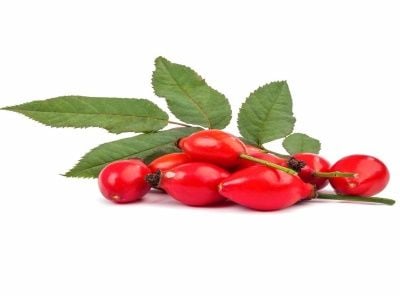 Kuşburnu Fidanı Nasıl Dikilir?