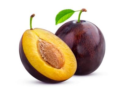 Malta Eriği Fidanı Nasıl Dikilir?