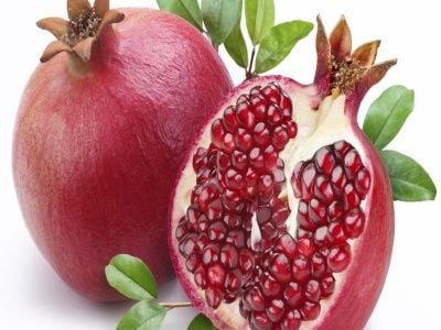 Nar Fidanı Nasıl Dikilir?