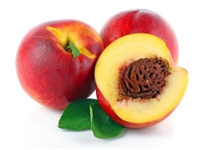 Nektarin Fidanı Nasıl Dikilir?
