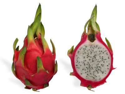 Pitaya Fidanı Nasıl Dikilir?