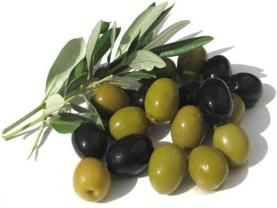 Zeytin Fidanı Nasıl Dikilir?