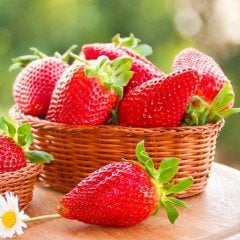 Kokulu Yediveren Çilek Fidesi (5 Adet)