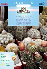 Miracle Karışık Kaktüs Bitkileri Çiçeği Tohumu (100 tohum)
