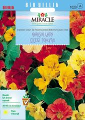 Miracle Karışık Double Renkli Sarmaşık Latin Çiçeği Tohumu (10tohum)