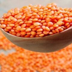 Ata Tohum Geleneksel Kırmızı Mercimek Tohumu (20 Tohum