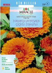 Miracle Turuncu Katmerli Aynı Safa Çiçeği Tohumu (300tohum)