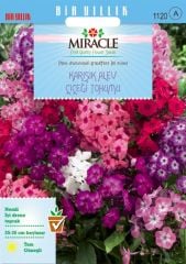 Miracle Karışık Renkli Alev Çiçeği Tohumu (340 tohum)