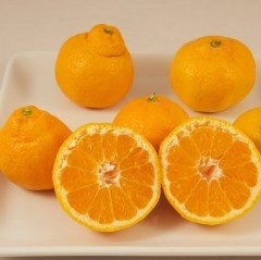 Tüplü İri Çekirdeksiz Bol Sulu Miho Wase Mandalina Fidanı