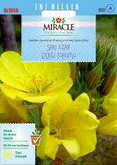Miracle Ezan Çiçeği Tohumu (480 tohum)