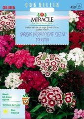 Miracle Uzun Boylu Karışık Renkli Hüsnü Yusuf Çiçeği Tohumu (690 tohum)