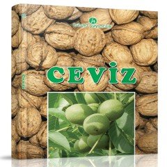 Ceviz Kitabı