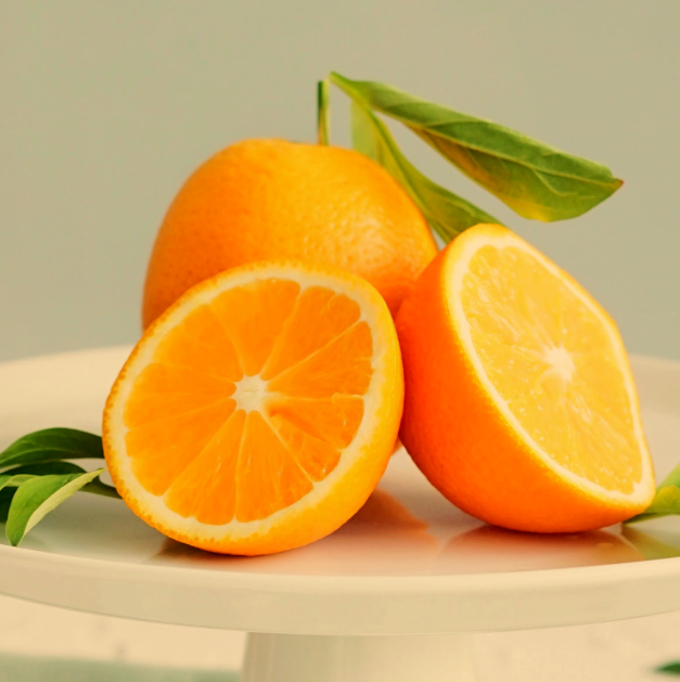 Tüplü Geçci Valencia Portakal Fidanı