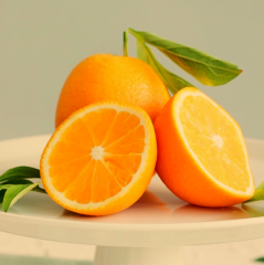 Tüplü Geçci Valencia Portakal Fidanı