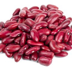 Oturak Barbunya Fidesi (5 adet)