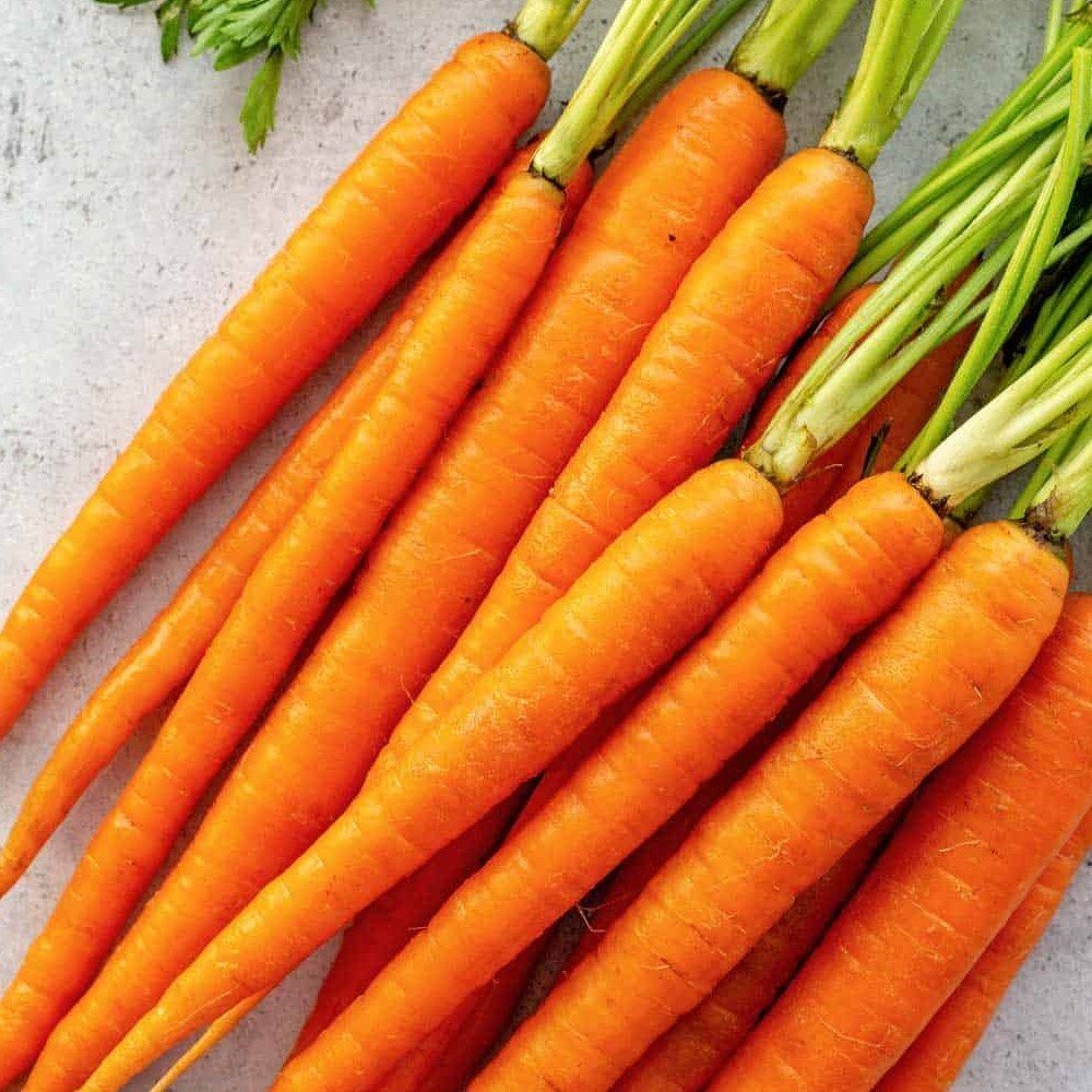 Doğal Nantes Havuç Fidesi (5 adet)