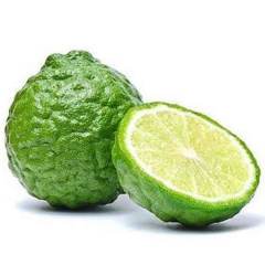 Nadir Tüplü Kaffir Lime Fidanı (2-3 Yaş)