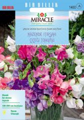 Miracle Karışık Renkli Nazende Itırşahi Çiçeği Tohumu (24 tohum)