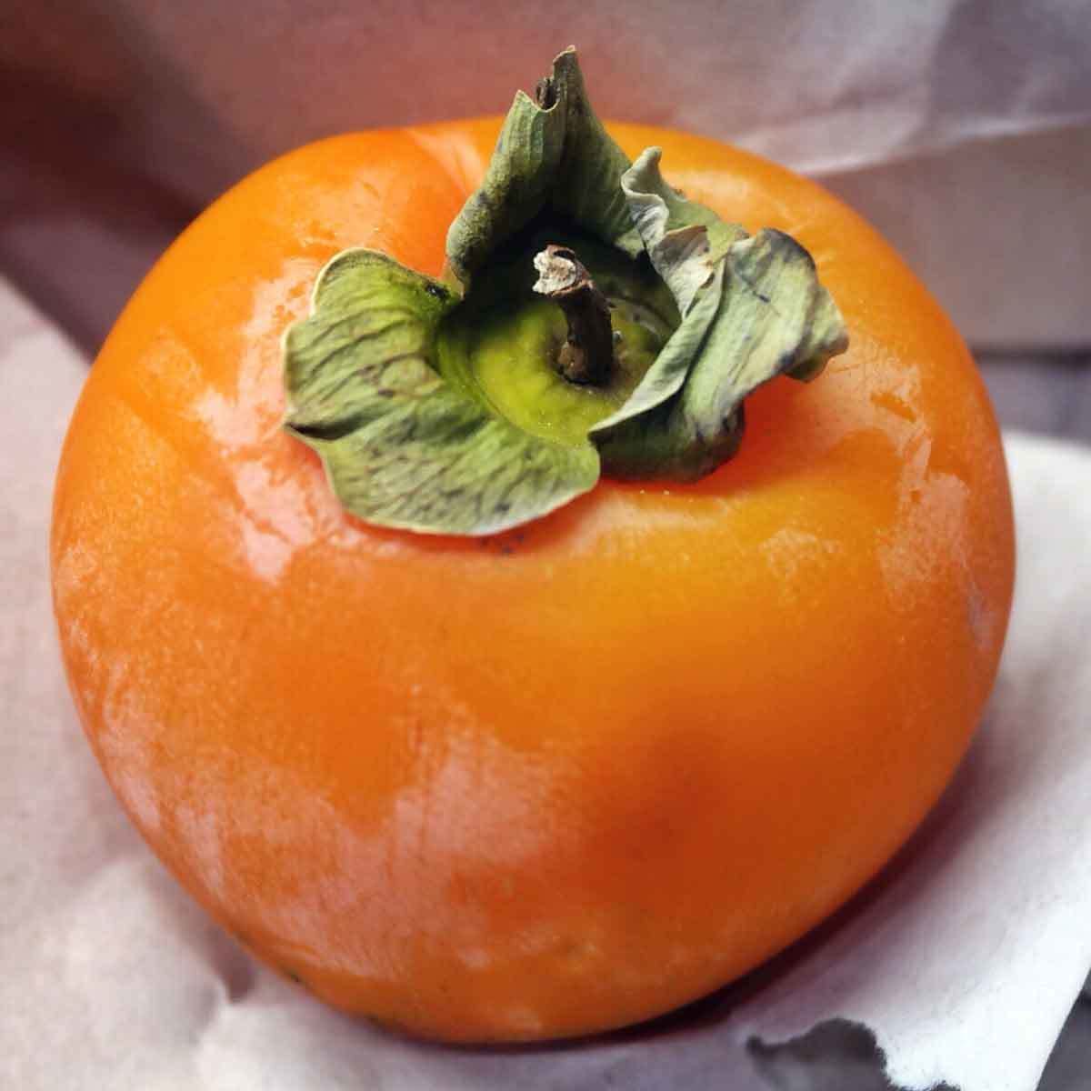 Tüplü Üstün Verimli Rojo Brillant Trabzon Hurması Fidanı