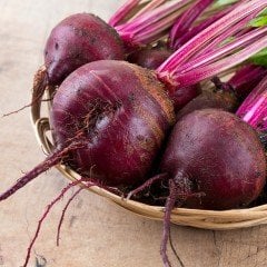 Kırmızı Pancar Fidesi (5 adet)