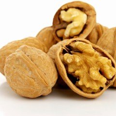 Tüplü İverto Ceviz Fidanı