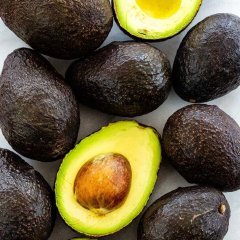 Tüplü Aşılı Nadir Has Black Avokado Fidanı