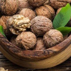 Tüplü Kedine Verimli Salkım Tulare Ceviz Fidanı