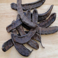 Doğal Amerikan Carop (Harnup) Ağacı Tohumu(5 tohum)