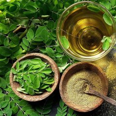 Tüplü Moringa Yaşam Ağacı Fidanı (120-150 cm)