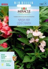 Miracle Balsamina Karışık Renkli Kına Çiçeği Tohumu (150 tohum)
