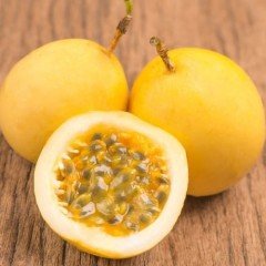 Tüplü Granadilla Fidanı