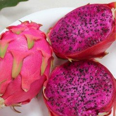 Meyve Verme Yaşında Tüplü Red Renkli Pitaya Ejder Meyvesi Fidanı