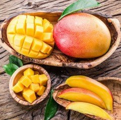 Tüplü Aşılı Yoğun Aromalı Mango Fidanı (Meyve Verme Durumunda)