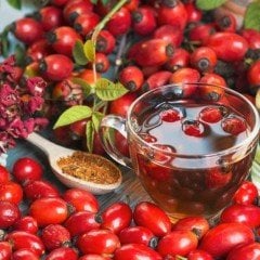 Tüplü Doğal Dikensiz Kuşburnu(Çok Az Dikenli) Fidanı
