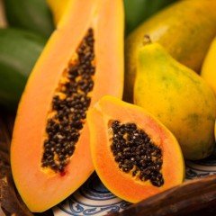 Tüplü Papaya(Ağaç Kavunu) Fidanı (50-80 cm)