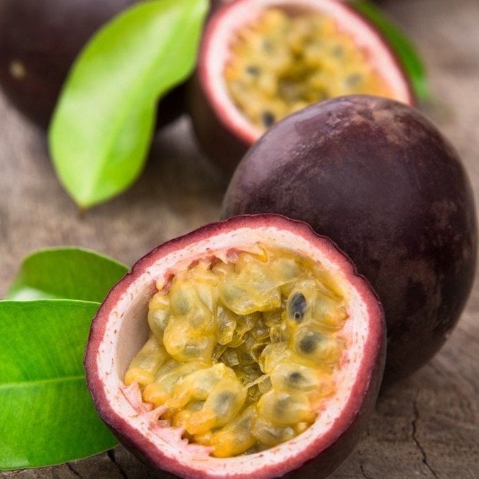 Tüplü Passiflora Edulis Maruçya Çarkıfelek Fidanı