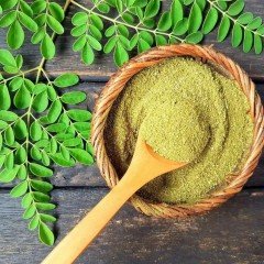 Tüplü Moringa Yaşam Ağacı Fidanı (10 adet)