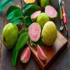 Tüplü Armut Guava Fidanı (Meyve Verme Yaşında)