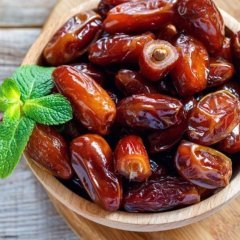 Tüplü Arabistan Hurması Fidanı