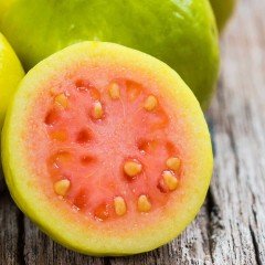 Tüplü Sarı Guava Fidanı