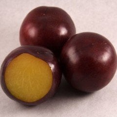 Tüplü Yarı Bodur Erkenci Sun Gold Japon Erik Fidanı