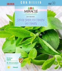 Doğal Stevia Şeker Otu Tohumu (20 tohum)